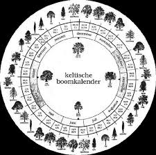 keltische astrologie