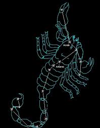 schorpioen sterrenbeeld liefde