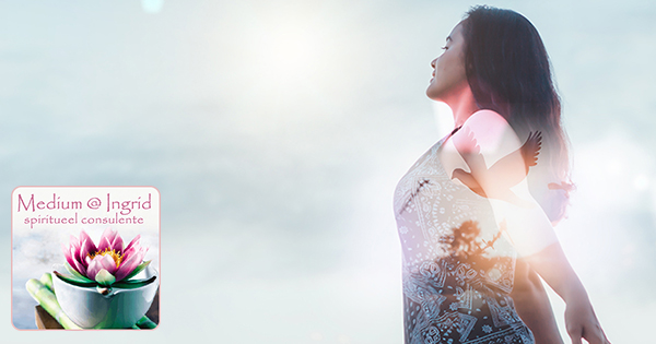 betrouwbaar medium belgië