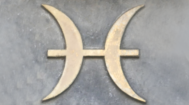 maand horoscoop vissen