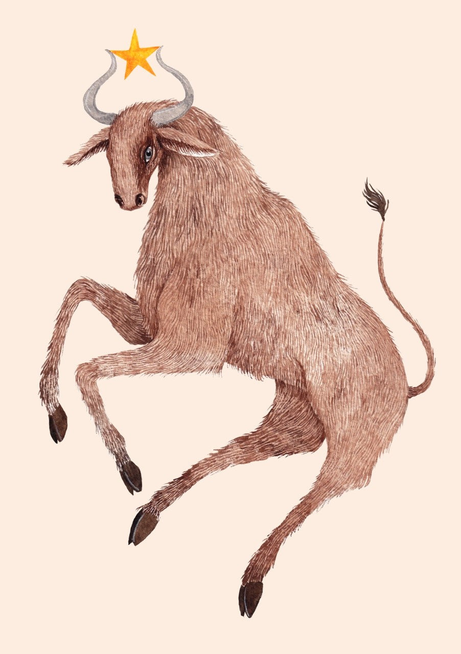 horoscoop stier 2022