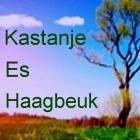 boom astrologie