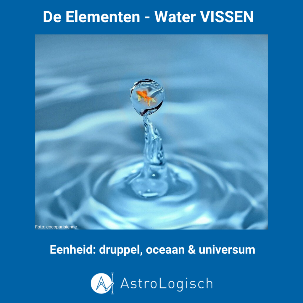 water sterrenbeelden